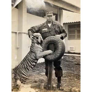 Photos Of Vietnam Soc Trang Tuffy the tiger Ohio Zoo with Soldier
